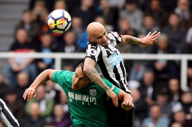 成功举办了 成功举办了