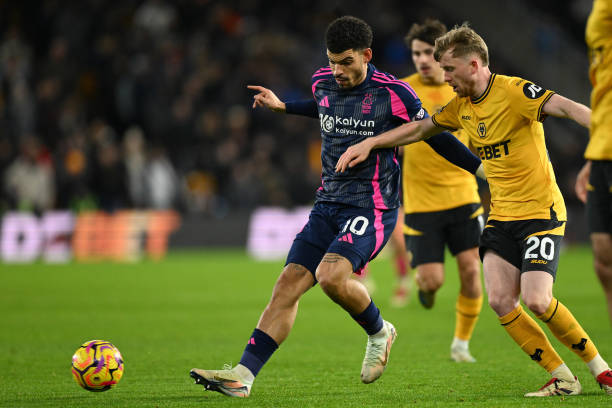 星竞争的重 星竞争的重