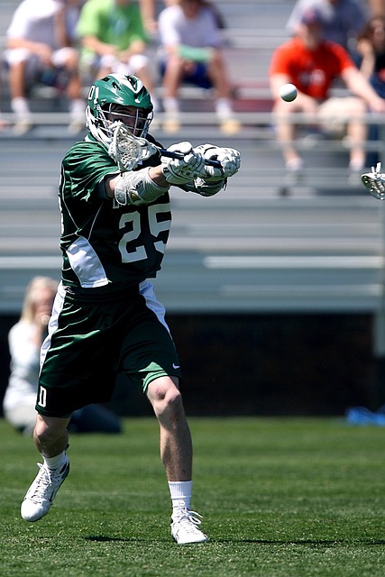 这一决定无 这一决定无