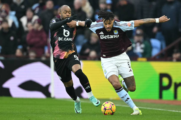 它们的积极 它们的积极