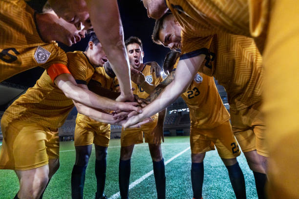 央视新闻客 央视新闻客